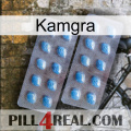 Kamgra viagra4